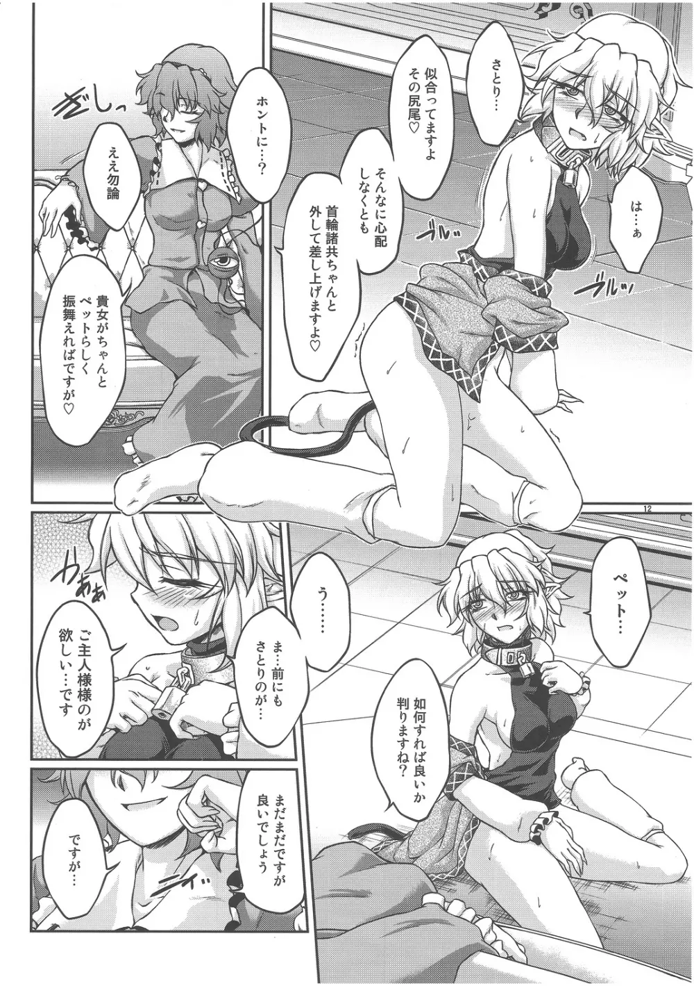 (C82) [幸撃 (大月渉)] 鉄(物の付いた首)輪 (東方Project) Page.11