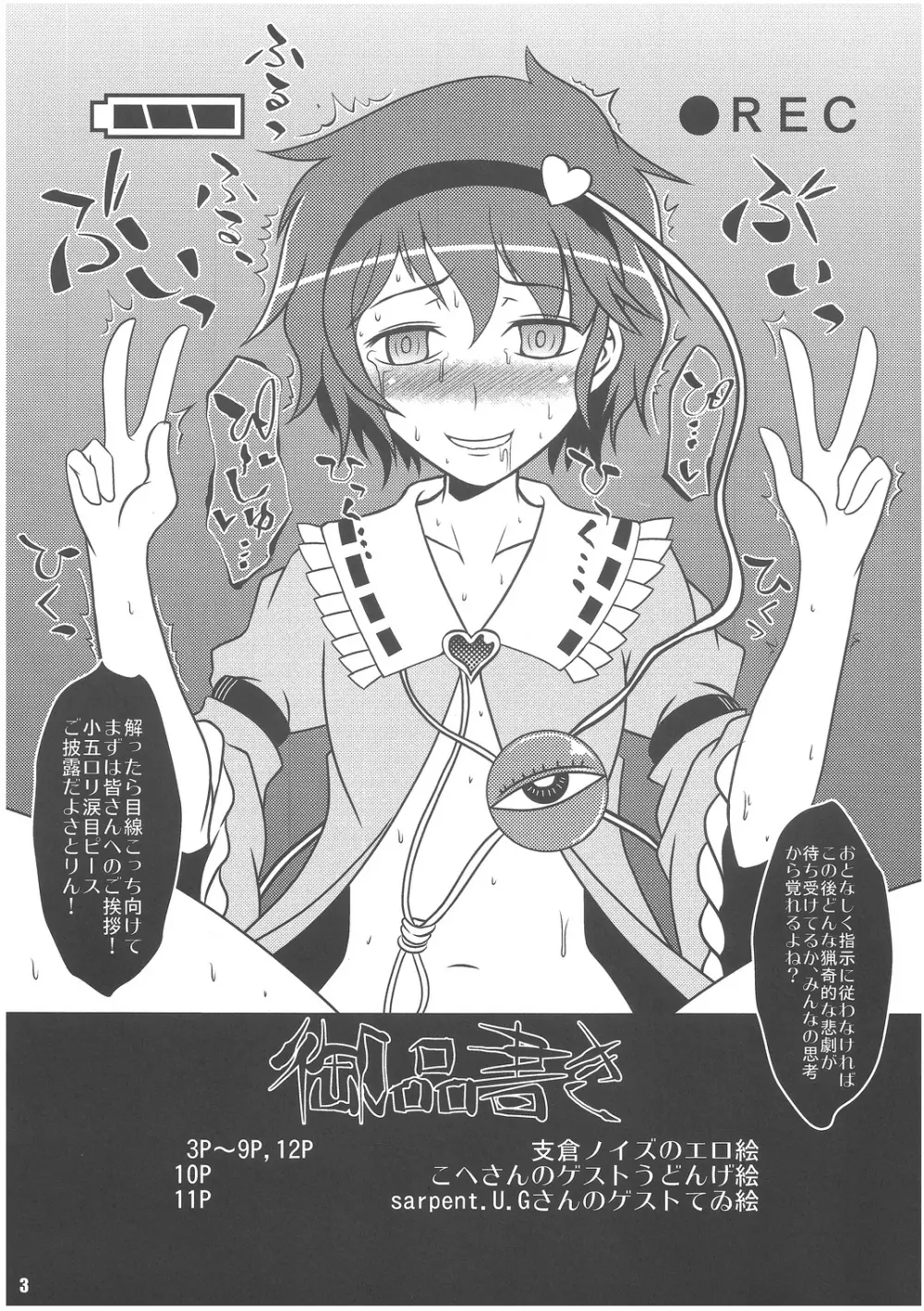 (例大祭8EX) [禍葬現実 (支倉ノイズ)] [Exhibition] (東方Project) Page.2