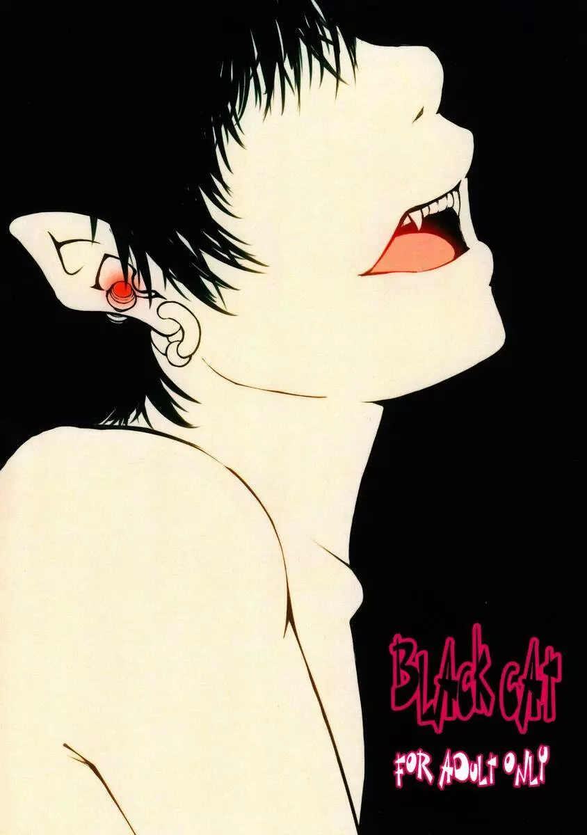 Suikaku Kouji (Plus or Minus) - Black Cat Page.1