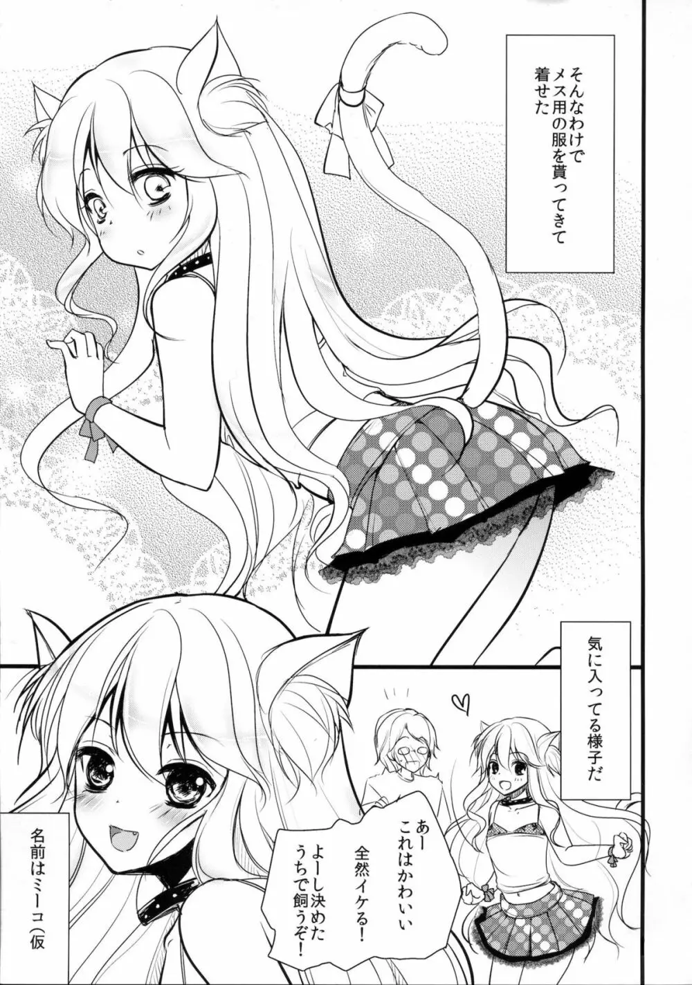 ネコミミ女装少年飼育日記 Page.4