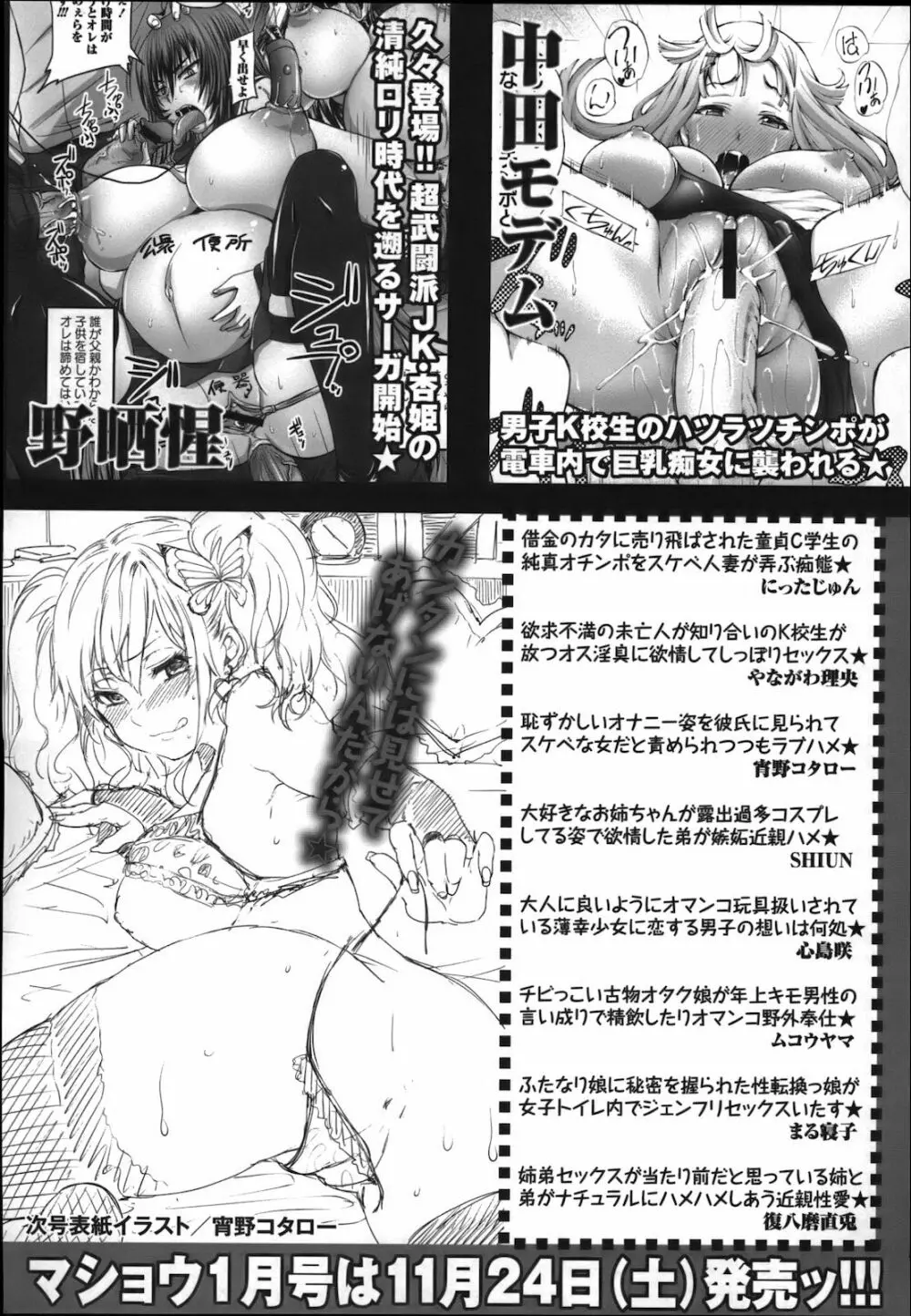 コミック・マショウ 2012年12月号 Page.261