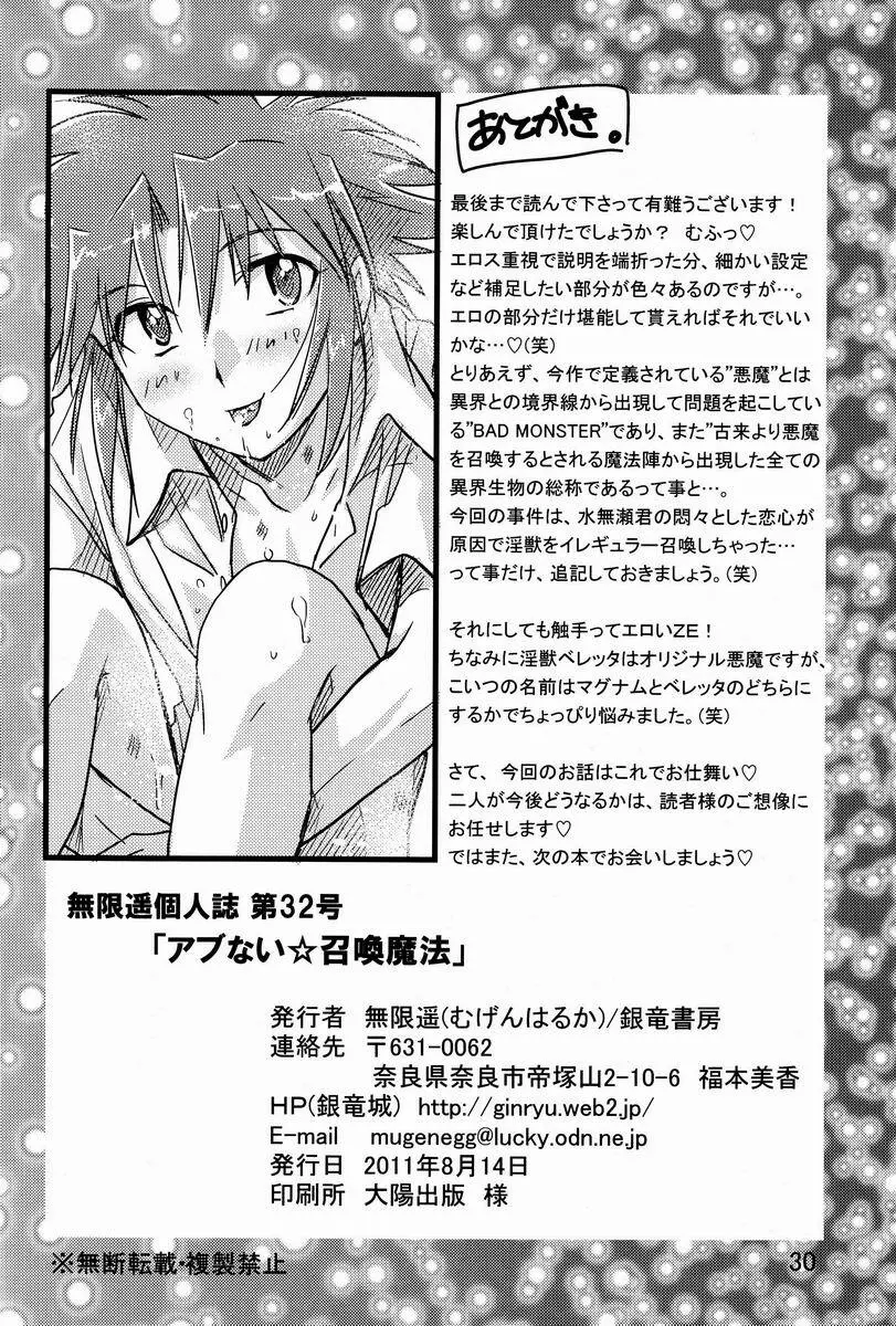 アブない☆召喚魔法 Page.29