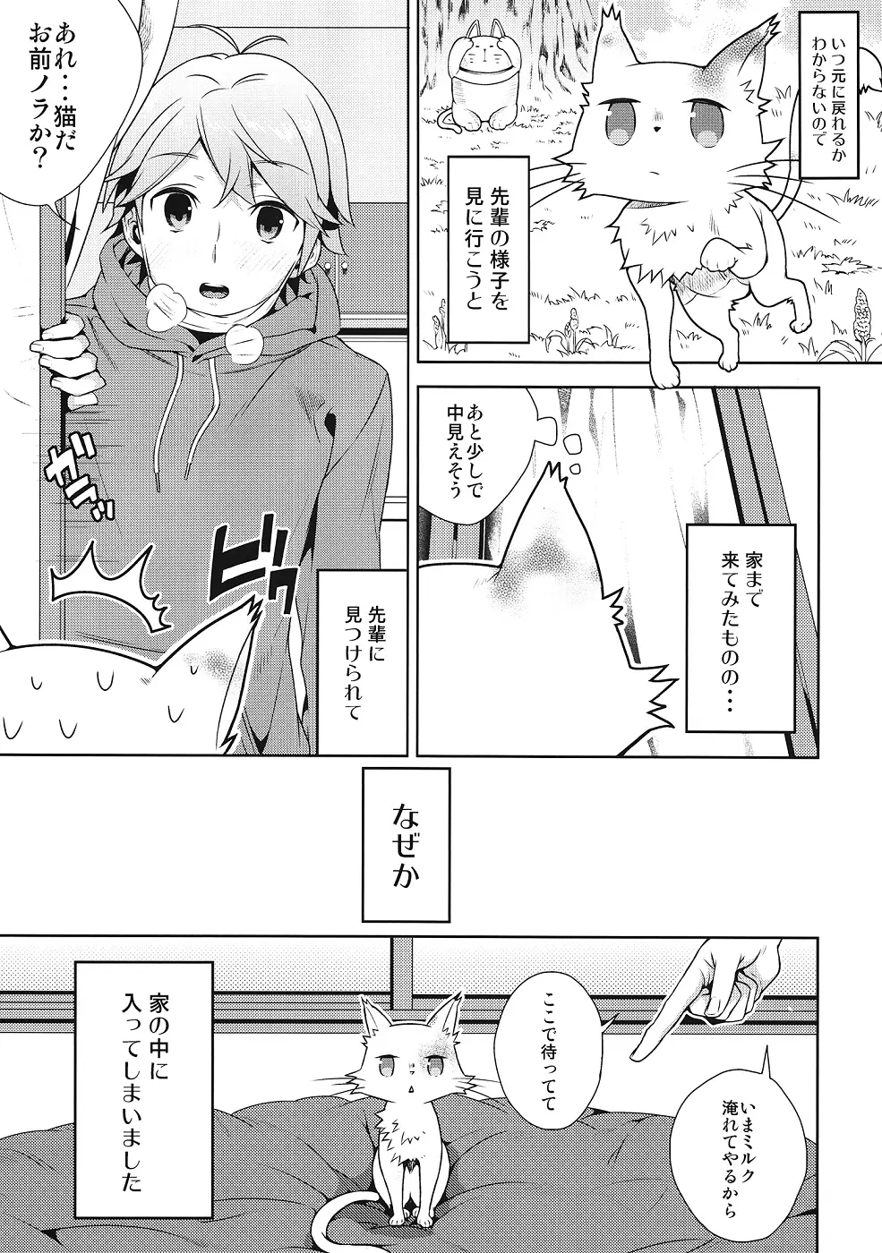 変態王子に犯された猫。 Page.4