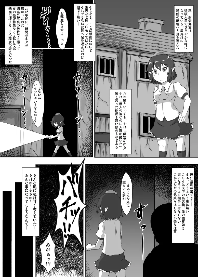 可哀想な文ちゃん Page.3