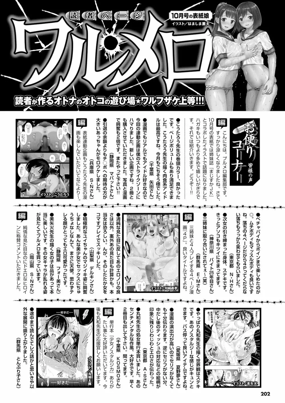 COMIC プルメロ 2012年12月号 Page.201