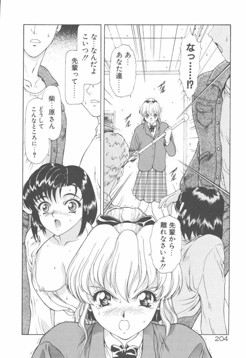 背徳の彼方 Page.206