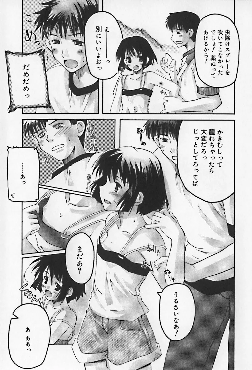 ひな缶10 Page.109