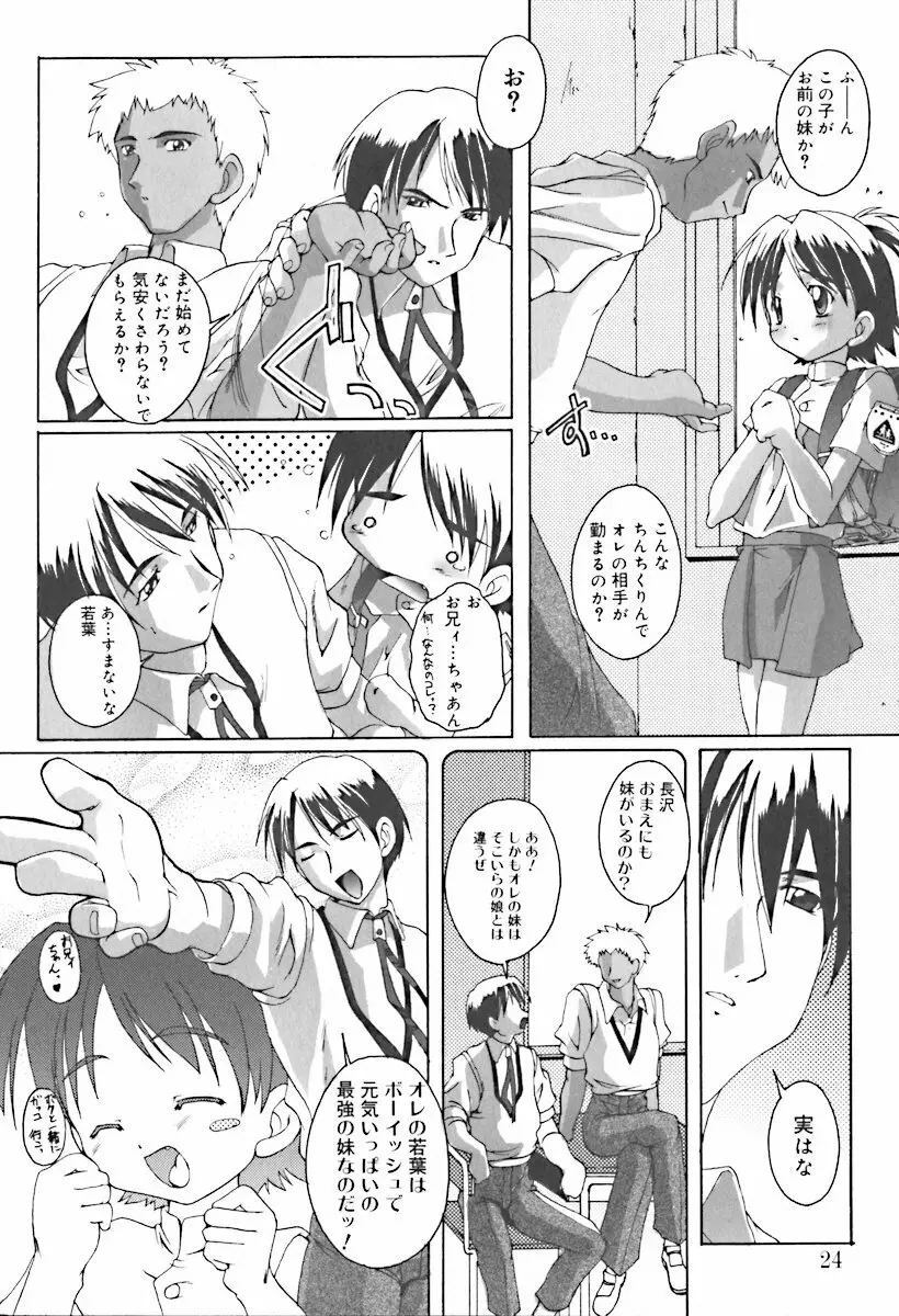 ひな缶10 Page.28