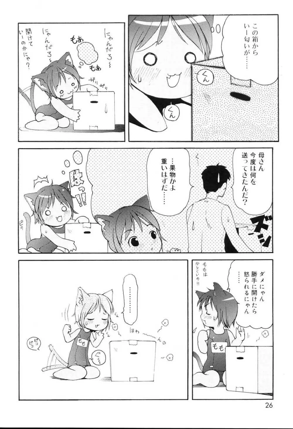 みにみみ Page.25