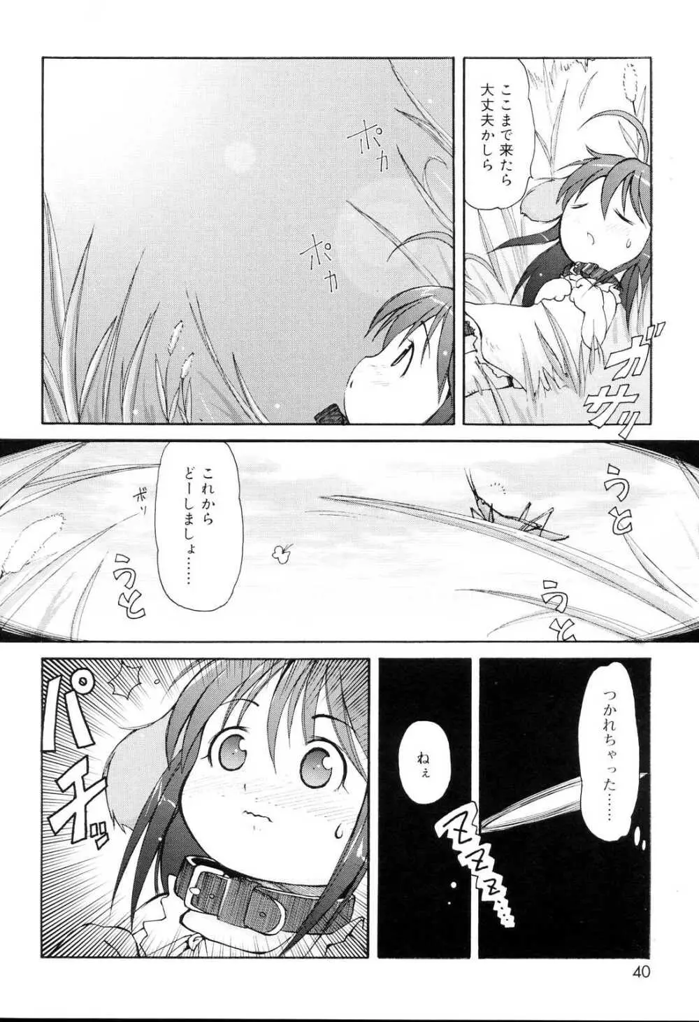 みにみみ Page.39