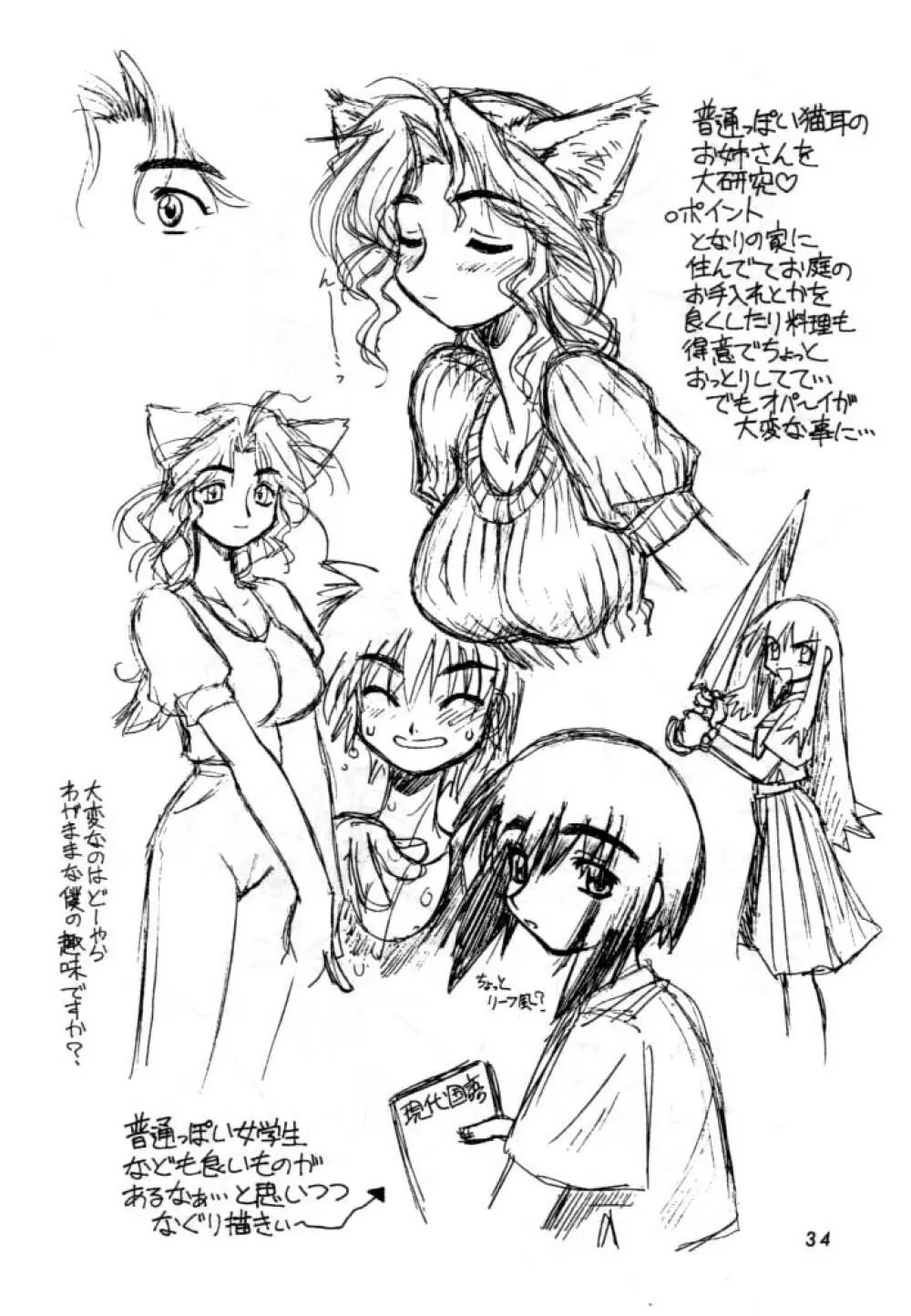 独立混成西野兵団 Page.33