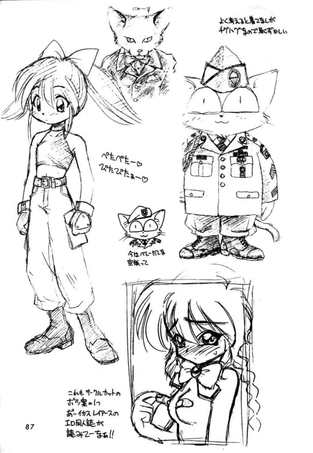 独立混成西野兵団 Page.85