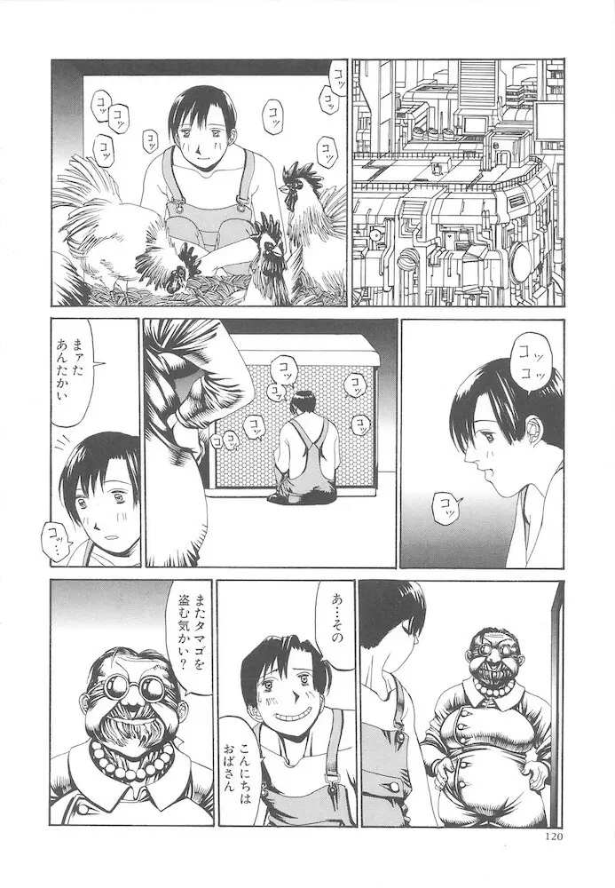 アルビレオ観測所からの監察 Page.120