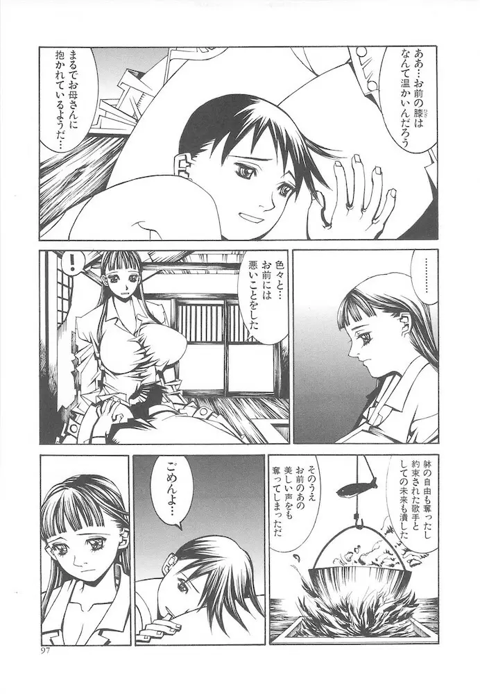 アルビレオ観測所からの監察 Page.97