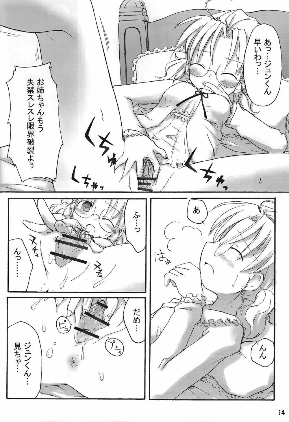 めいでんしろっぷ Page.13