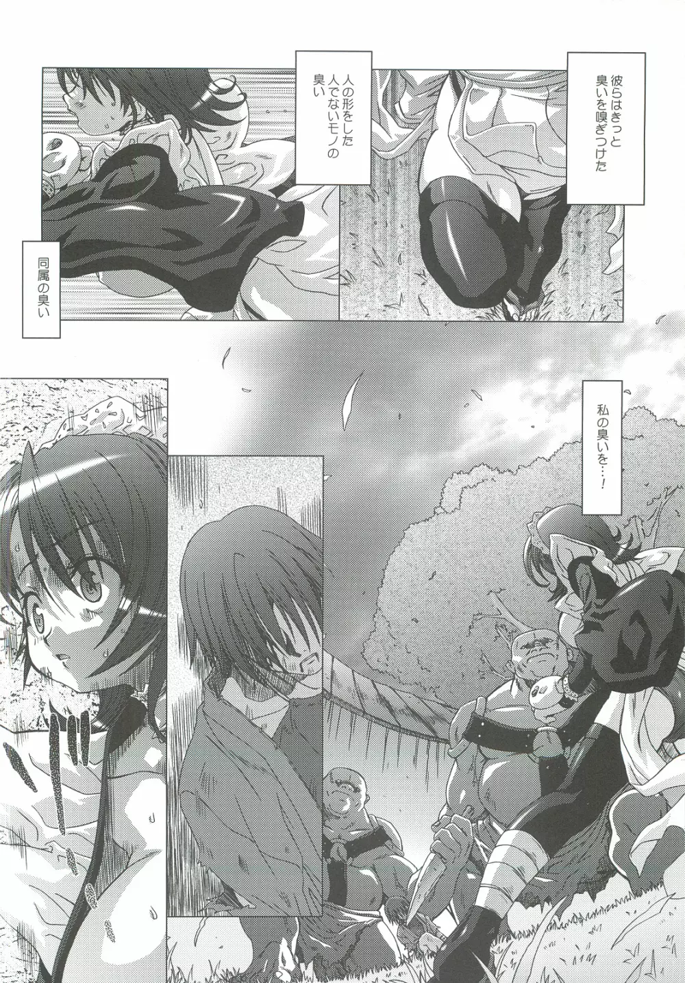 49 Page.5