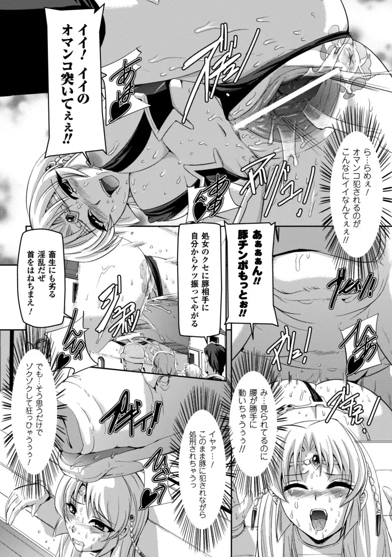 黒薔薇の騎士～聖帝ローザ～ Page.117