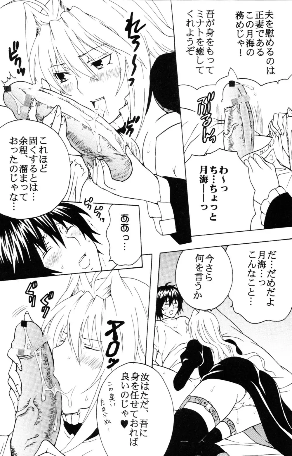 鶺鴒捕縛計画 3 Page.17