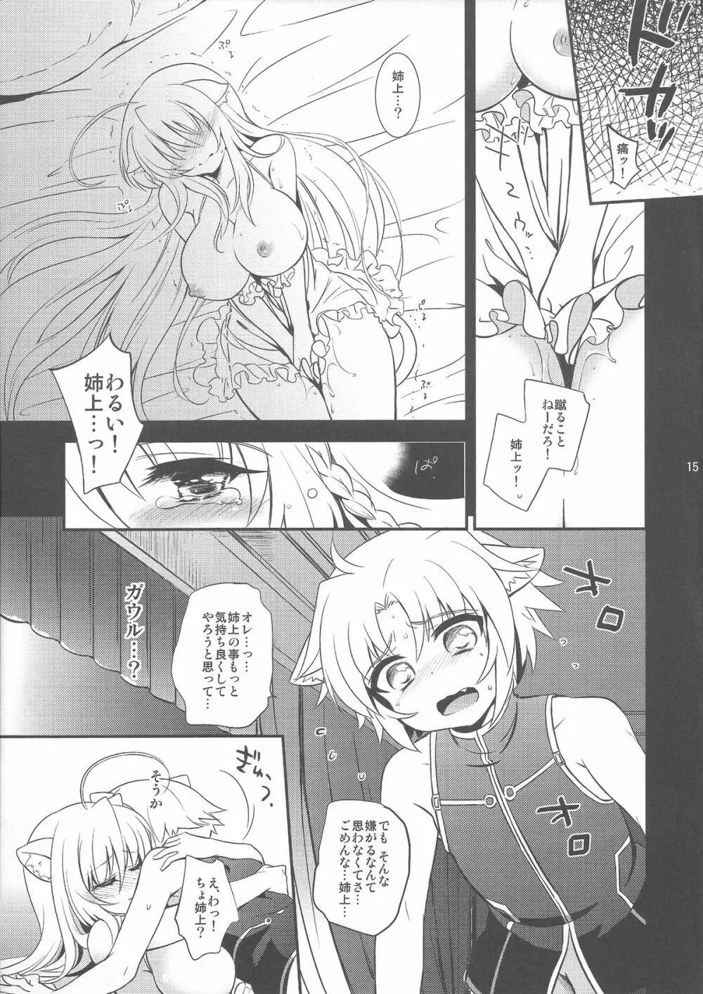 姉上の星詠みどおり Page.14