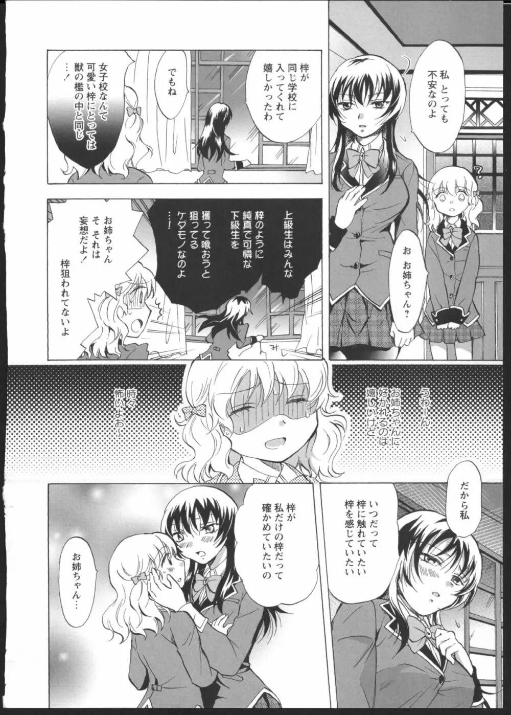 私のイケナイお姉ちゃん Page.10