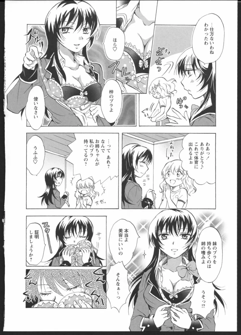 私のイケナイお姉ちゃん Page.6