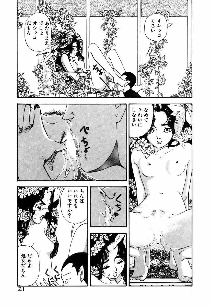 お姫さまといろいろ Page.24
