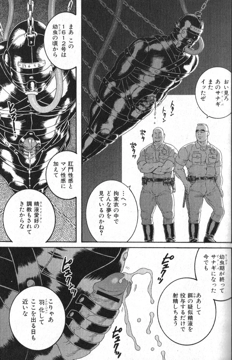 肉体派 VOL.13 フェチ漢全攻略 Page.95