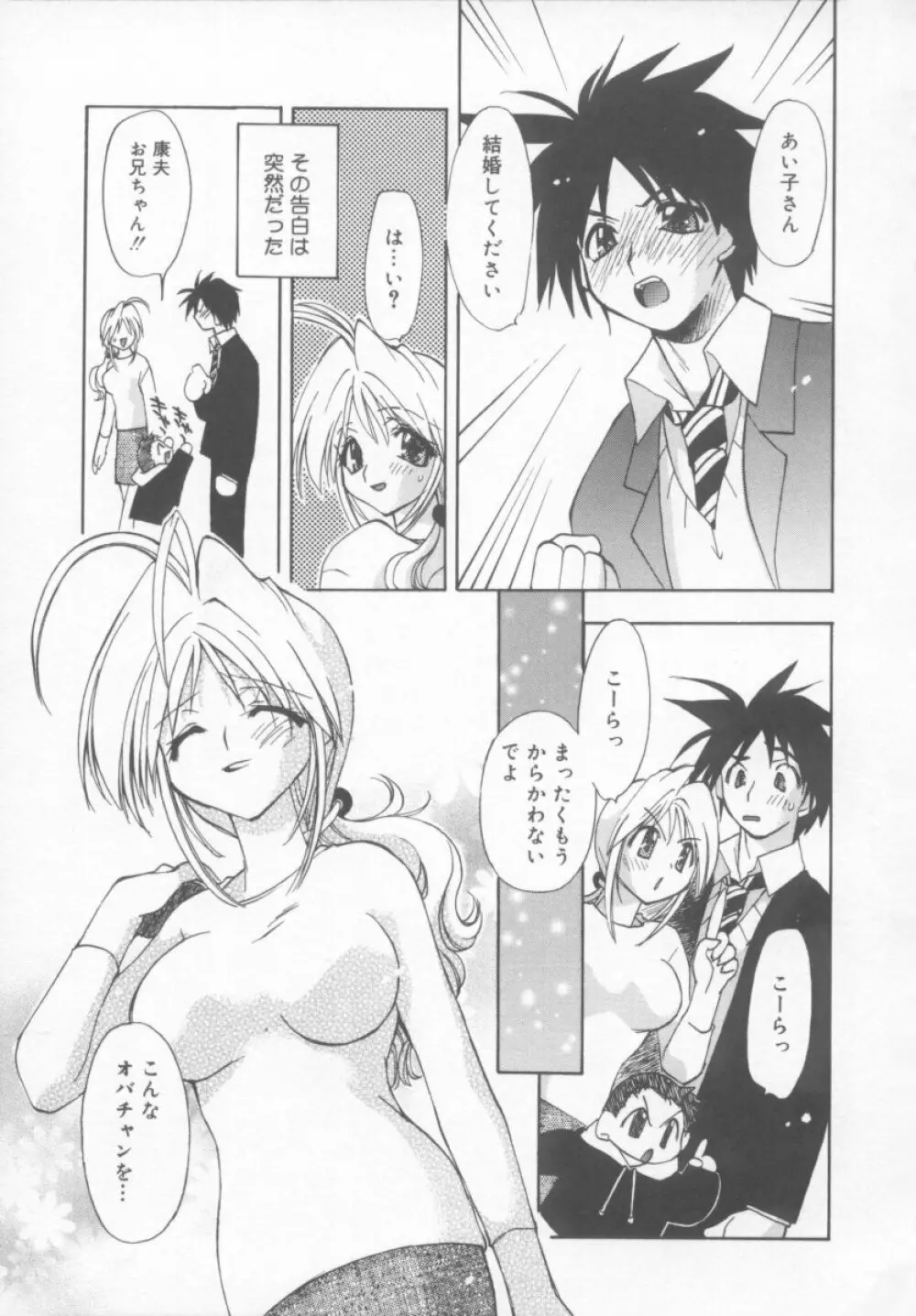 フラワーピロウ Page.25