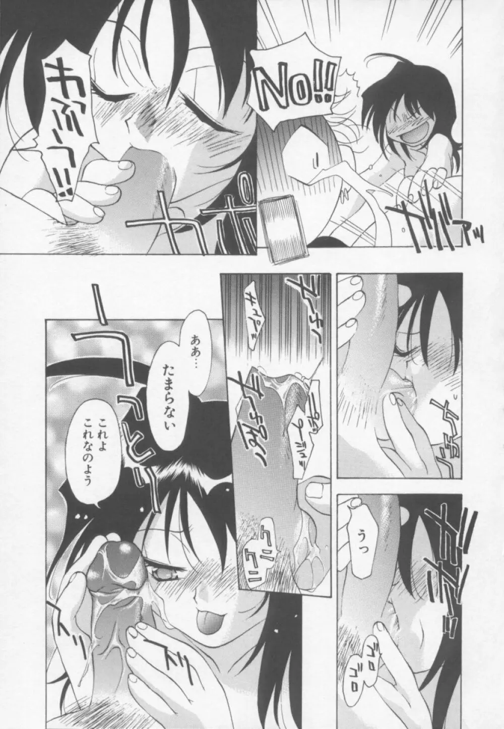 フラワーピロウ Page.81