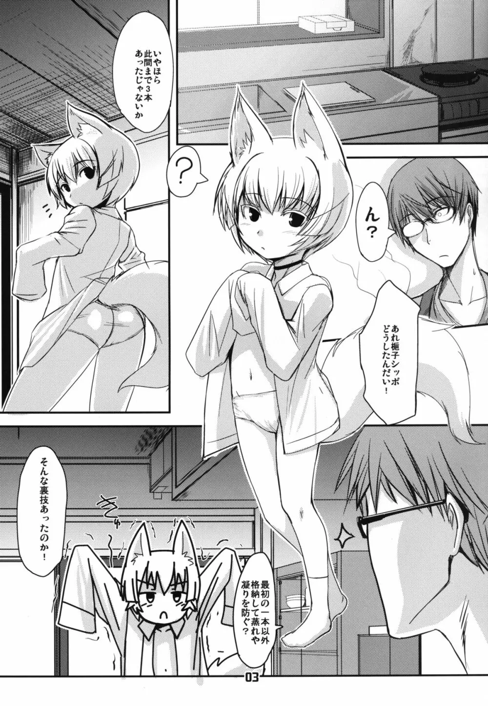 白狐の杜 其の捌 Page.3