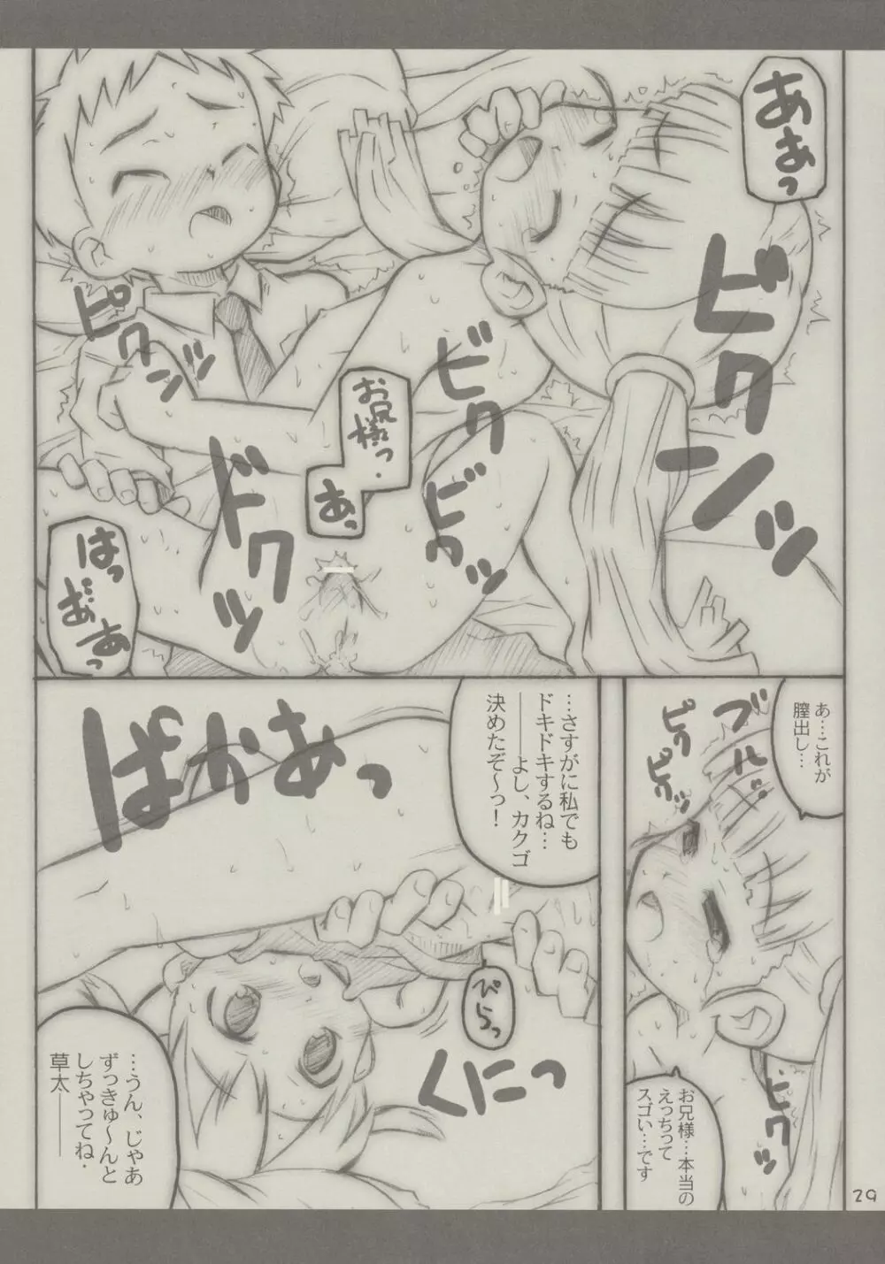 あっぷるしーど Page.28