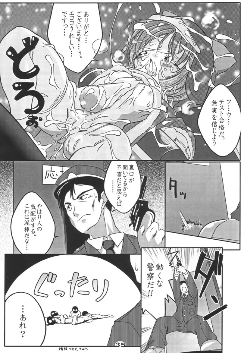 エコスプラッシュ3 Page.34