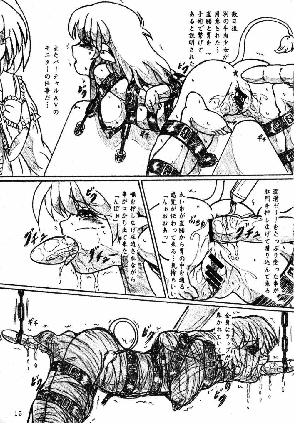 『牛肉少女と消えた女子大生』オマケコピー本付 Page.15