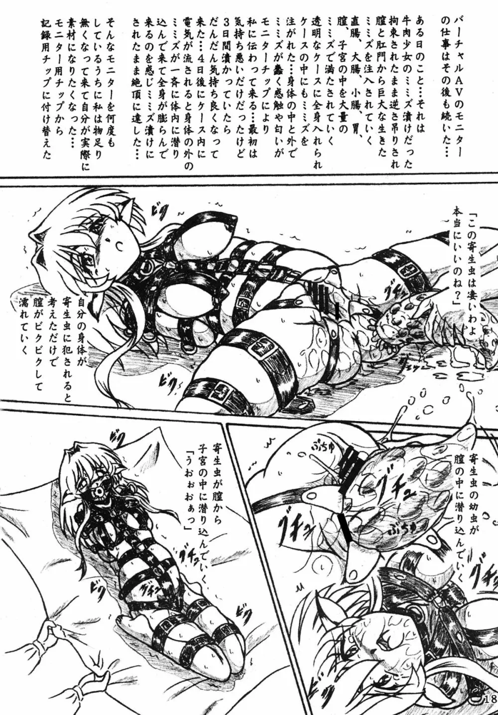 『牛肉少女と消えた女子大生』オマケコピー本付 Page.18