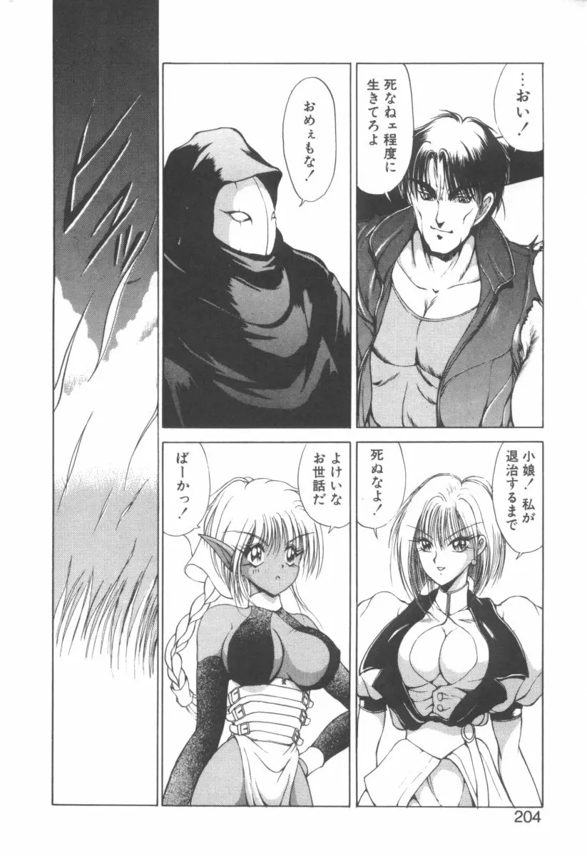 DARK WIRBEL 混乱編 Page.212