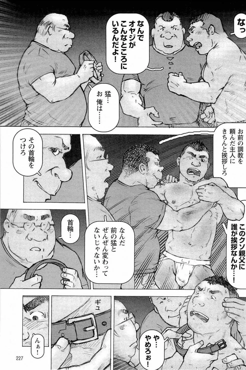 トレーニング・ドッグ Page.231