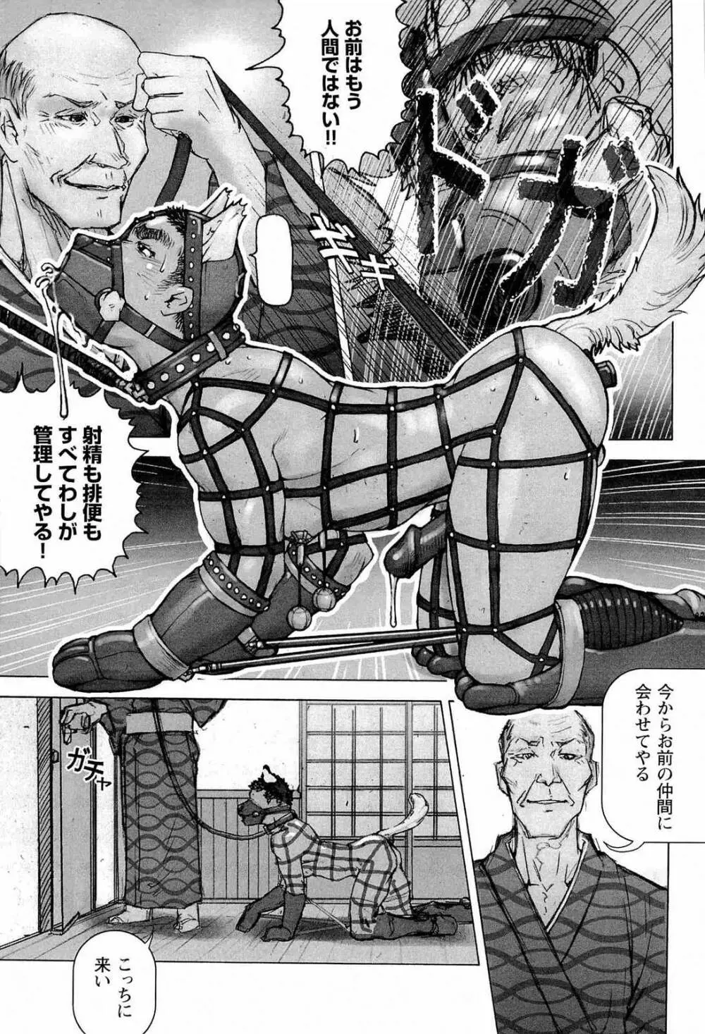 トレーニング・ドッグ Page.87