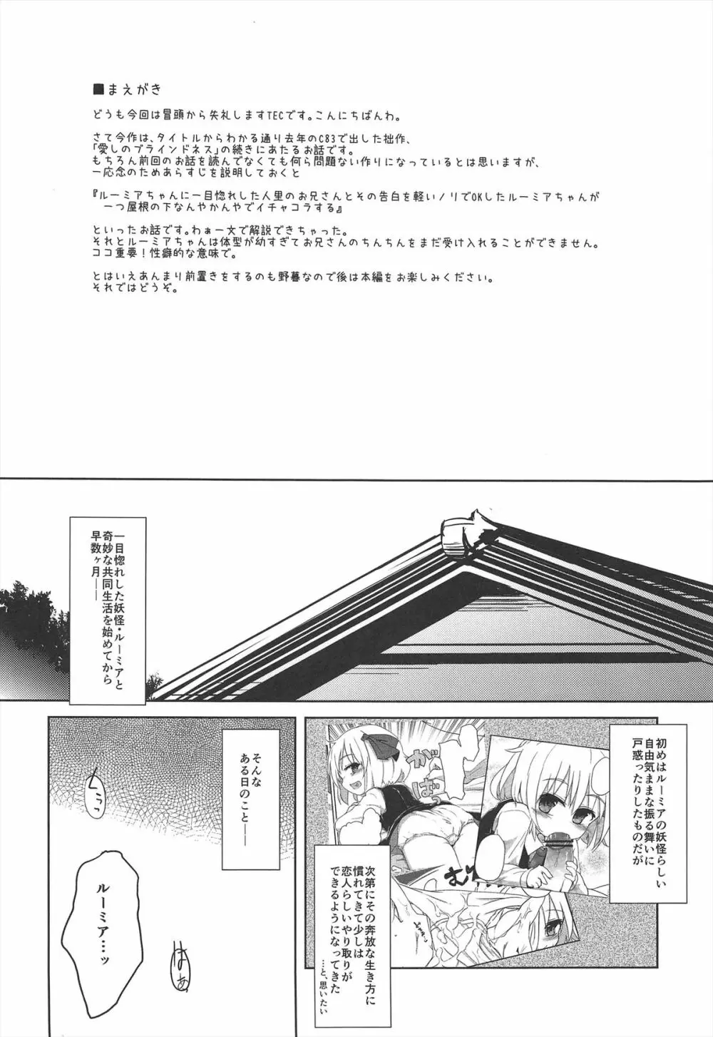 愛しのブラインドネス プラス！ Page.4