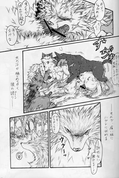 KTQ15/2 Page.20