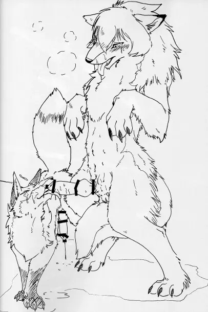 KTQ15/2 Page.31