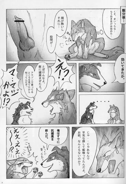KTQ15/2 Page.8