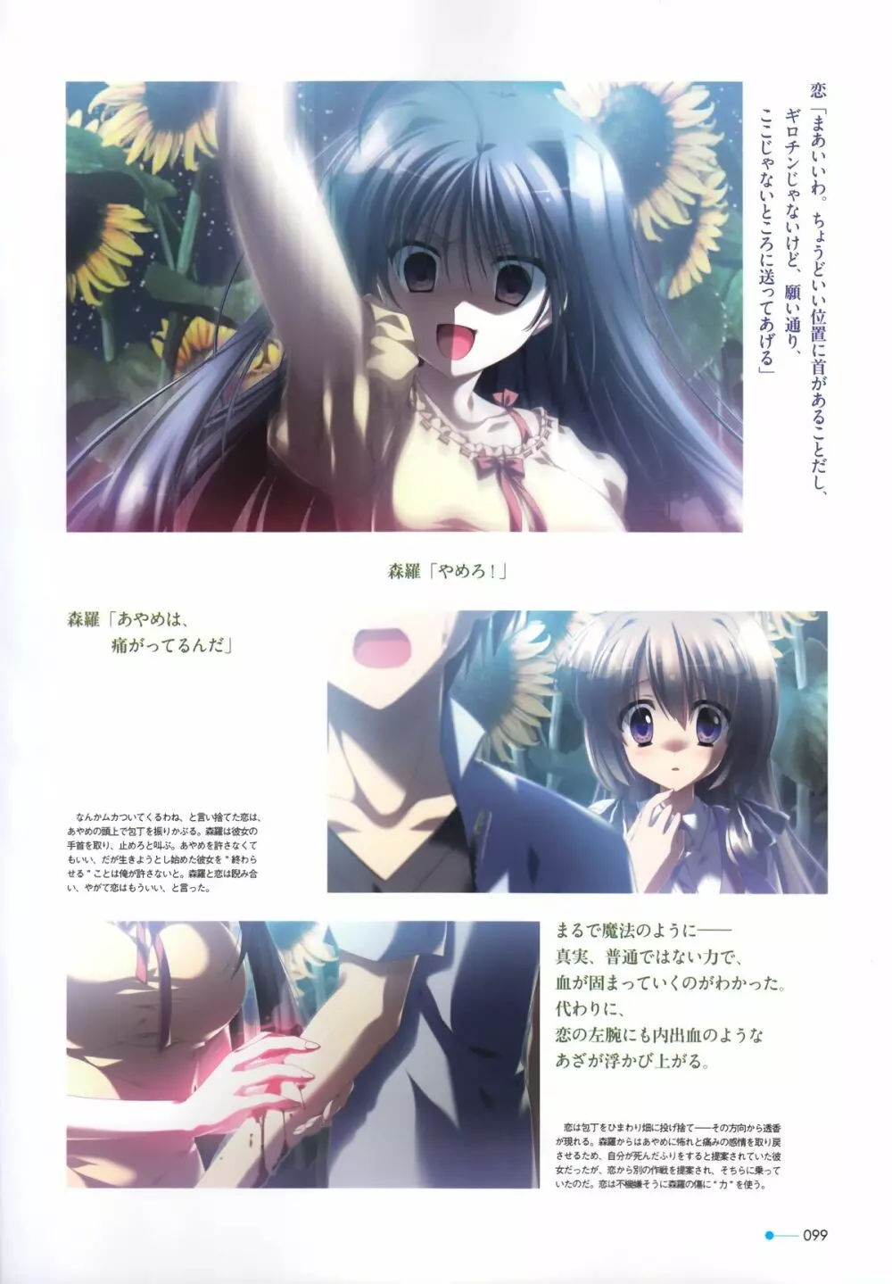 夏空のペルセウス Visual Fan Book Page.88