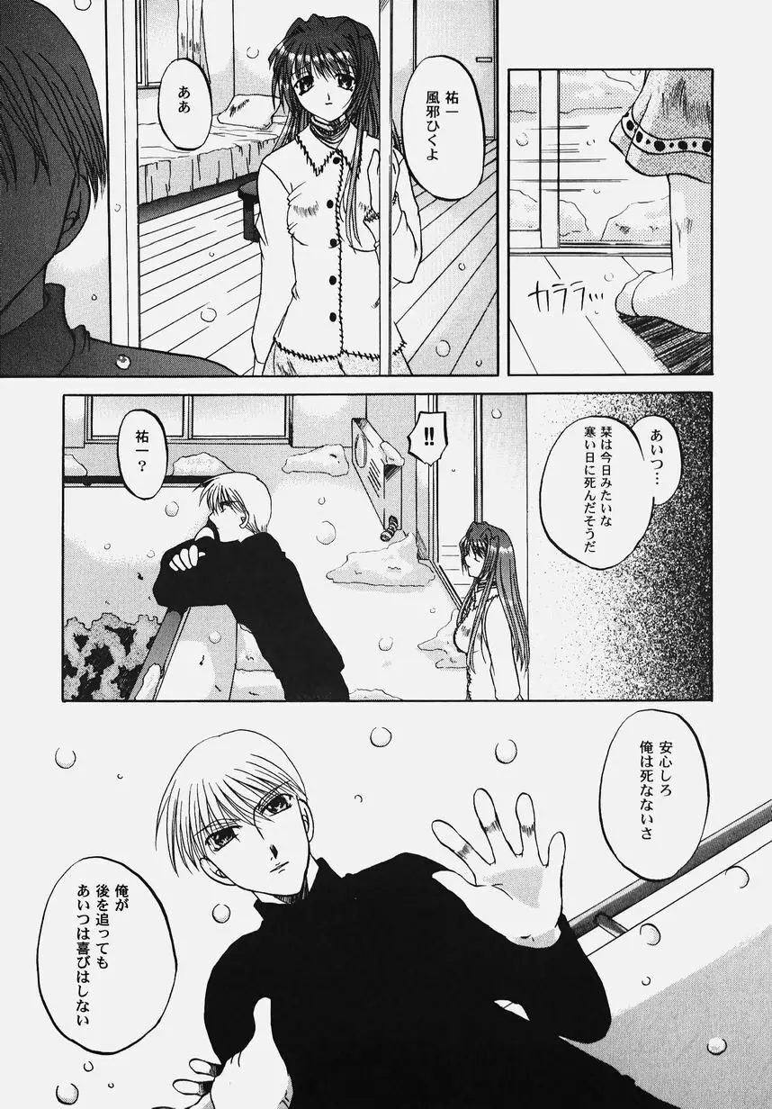 秘密のセレナーデ 2 Page.148