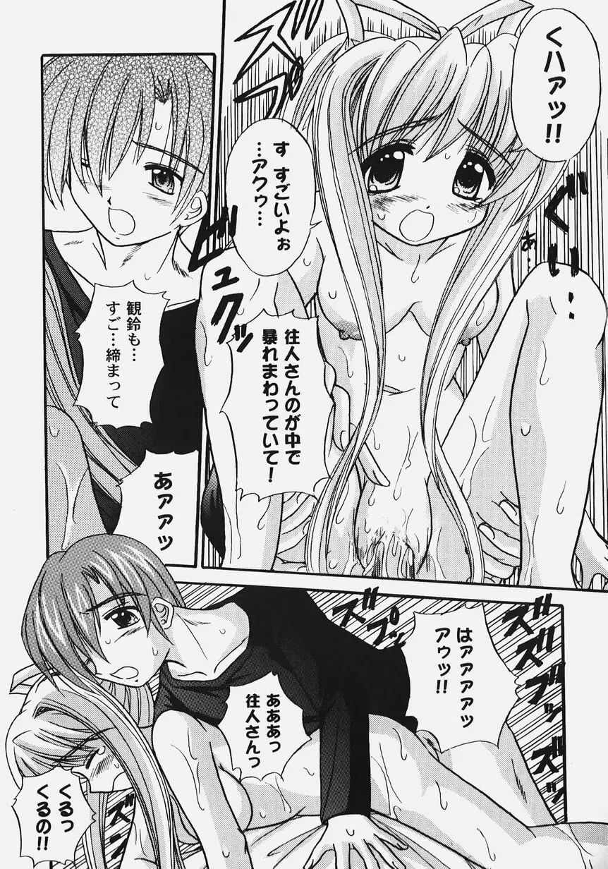 秘密のセレナーデ 2 Page.95