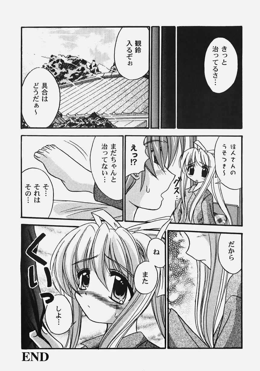 秘密のセレナーデ 2 Page.97