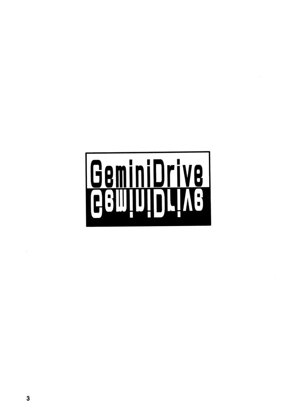 GeminiDrive じぇみにドライブ Page.2