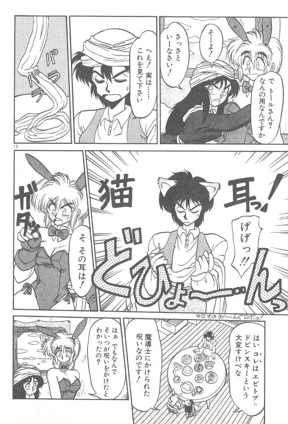 気まぐれバニーの冒険 Page.14