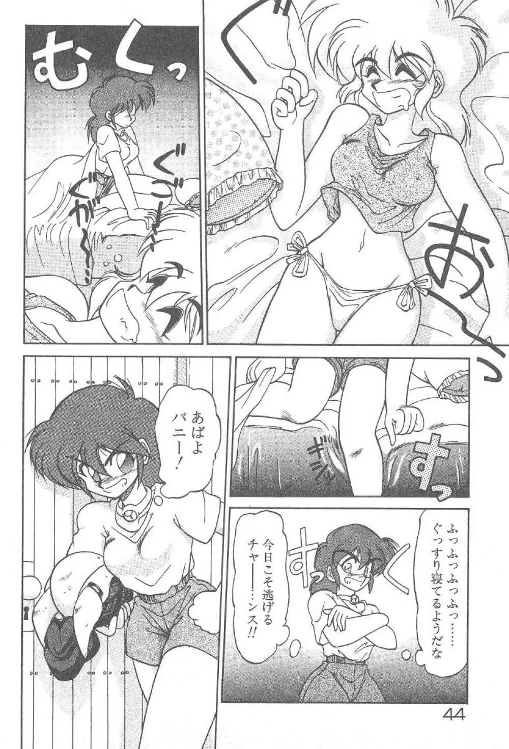 気まぐれバニーの冒険 Page.46