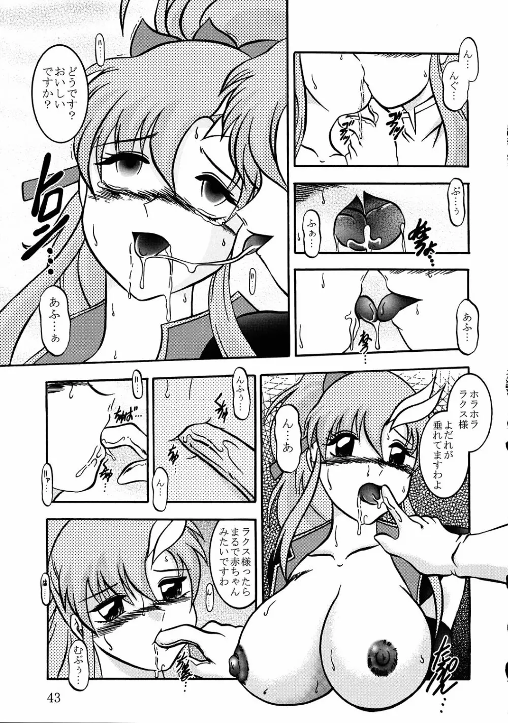 実験人形 ～ラクス・クライン&ミーア・キャンベル～ Page.42