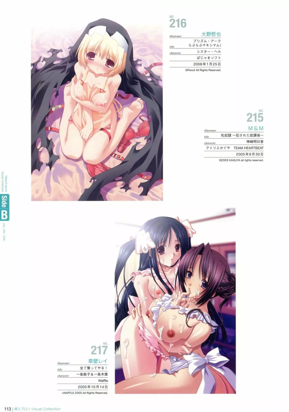 裸エプロンVisual Collection Page.111